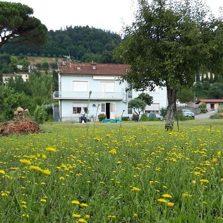 Affittacamere La Foresta Di Sopra بارغا المظهر الخارجي الصورة