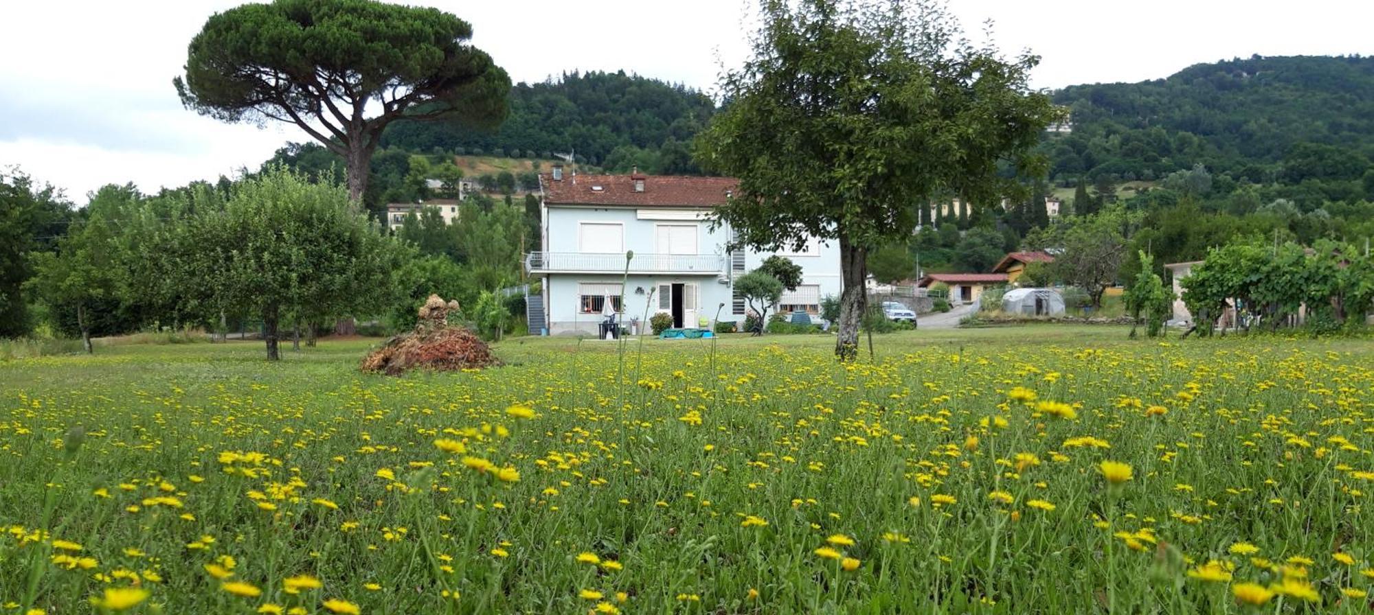 Affittacamere La Foresta Di Sopra بارغا المظهر الخارجي الصورة