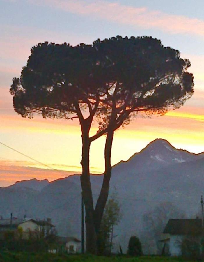 Affittacamere La Foresta Di Sopra بارغا المظهر الخارجي الصورة