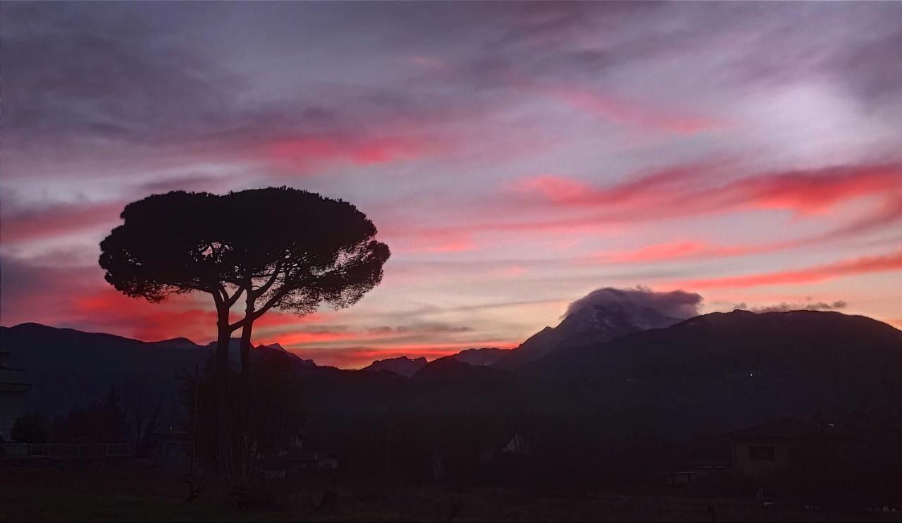 Affittacamere La Foresta Di Sopra بارغا المظهر الخارجي الصورة