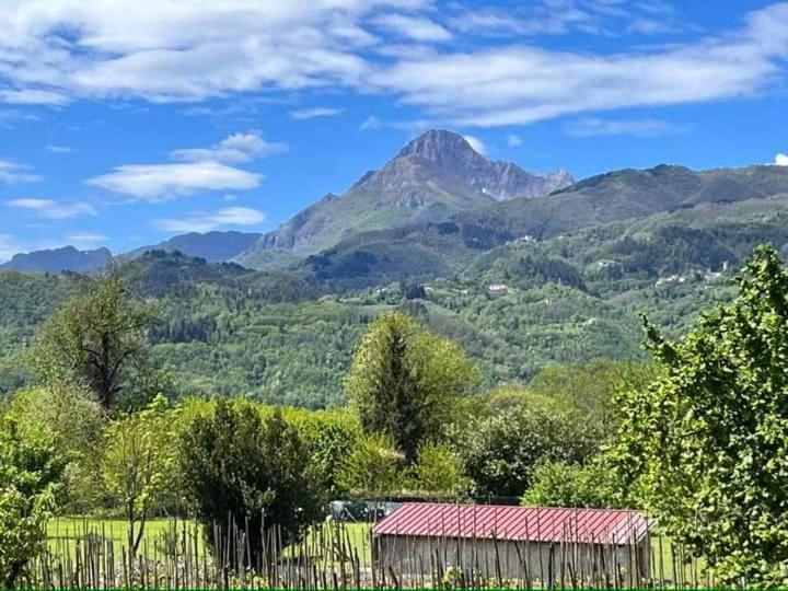 Affittacamere La Foresta Di Sopra بارغا المظهر الخارجي الصورة