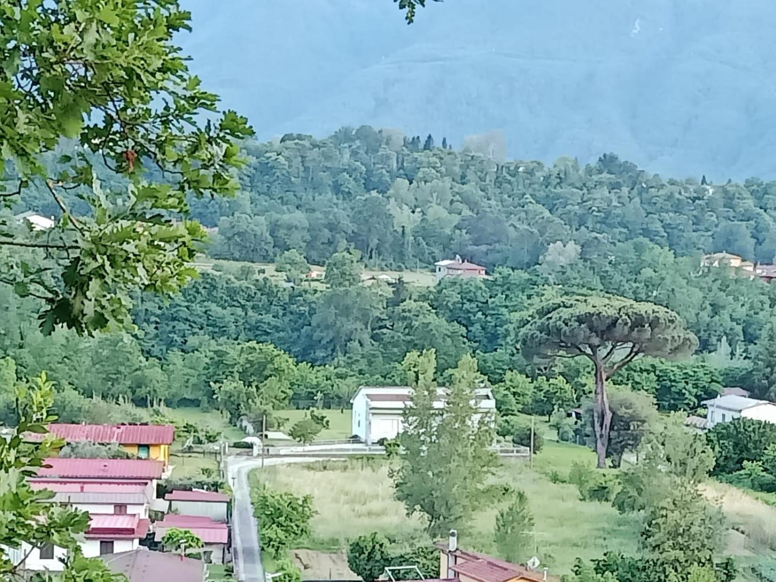 Affittacamere La Foresta Di Sopra بارغا المظهر الخارجي الصورة